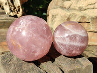 Polished Star Rose Quartz Spheres x 2 From Ambatondrazaka, Madagascar