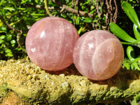 Polished Star Rose Quartz Spheres x 2 From Ambatondrazaka, Madagascar