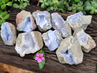 Natural Blue Lace Agate Geode Specimens x 12 From Nsanje, Malawi