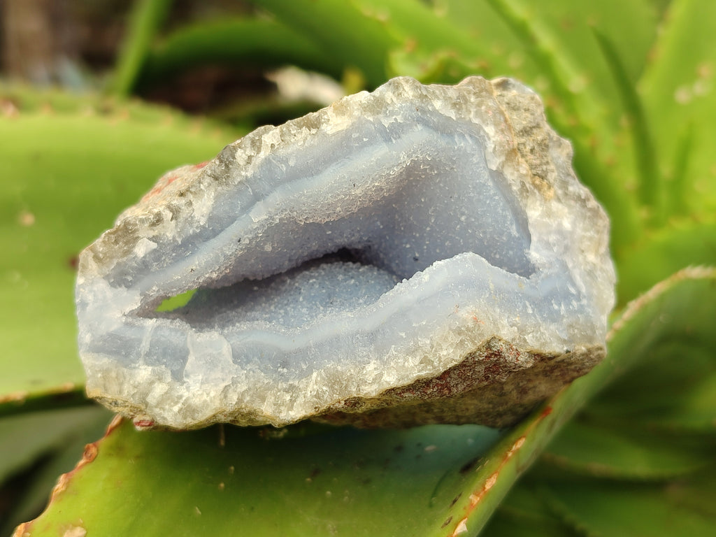 Natural Blue Lace Agate Geode Specimens x 12 From Nsanje, Malawi - Toprock Gemstones and Minerals 