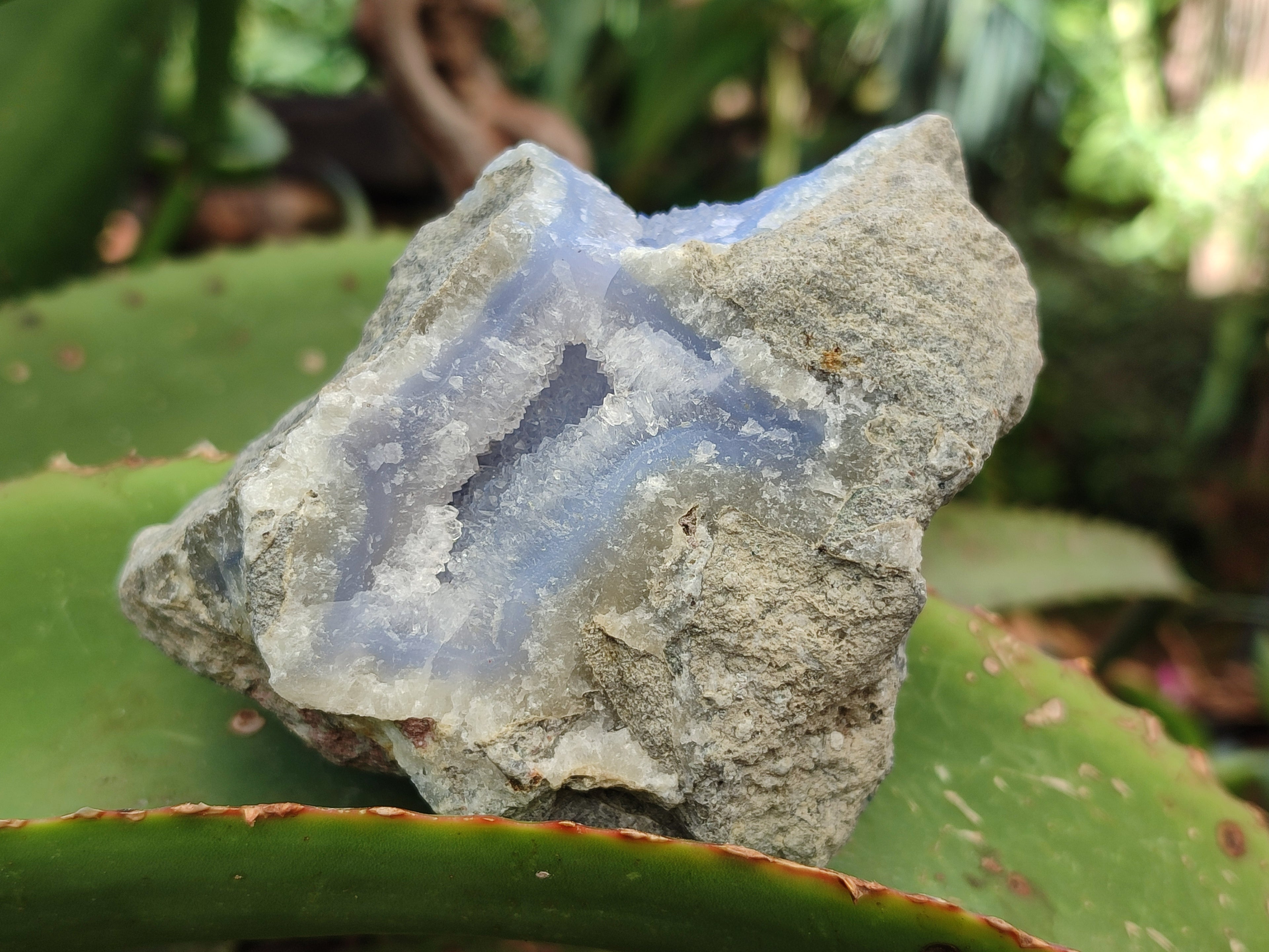 Natural Blue Lace Agate Geode Specimens x 12 From Nsanje, Malawi - Toprock Gemstones and Minerals 