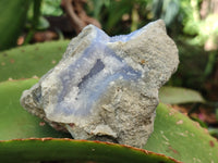 Natural Blue Lace Agate Geode Specimens x 12 From Nsanje, Malawi