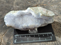 Natural Blue Lace Agate Geode Specimens x 12 From Nsanje, Malawi