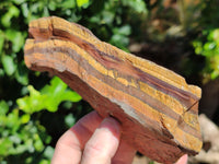 Natural Tiger's Eye Cutting Material x 14 From Prieska, South Africa