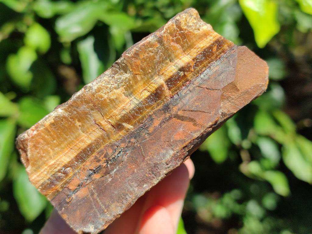 Natural Tiger's Eye Cutting Material x 14 From Prieska, South Africa - Toprock Gemstones and Minerals 
