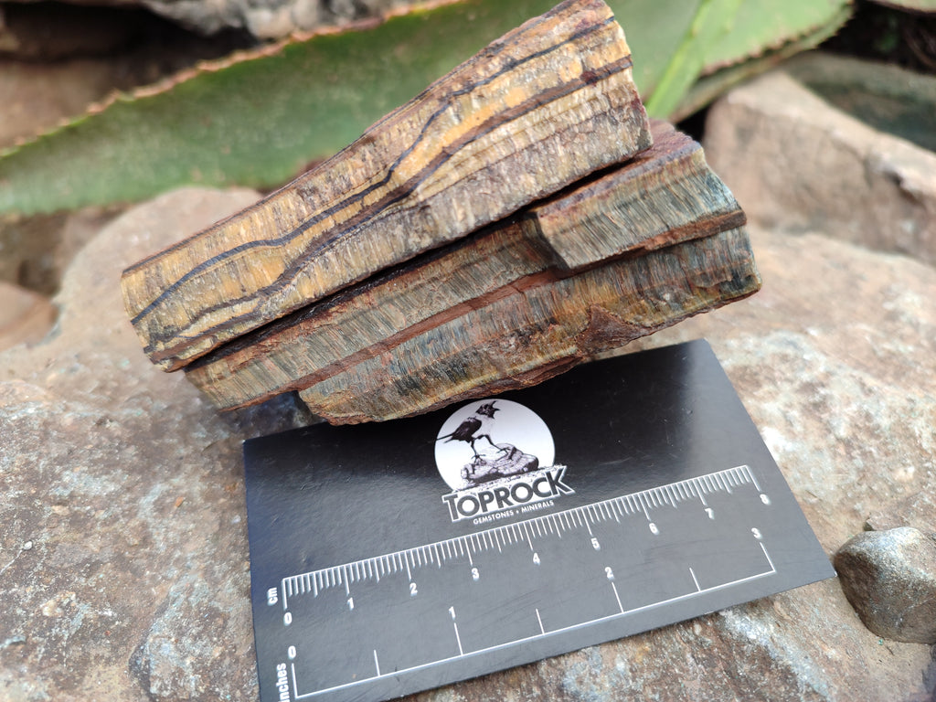 Natural Tiger's Eye Cutting Material x 14 From Prieska, South Africa - Toprock Gemstones and Minerals 