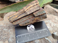 Natural Tiger's Eye Cutting Material x 14 From Prieska, South Africa