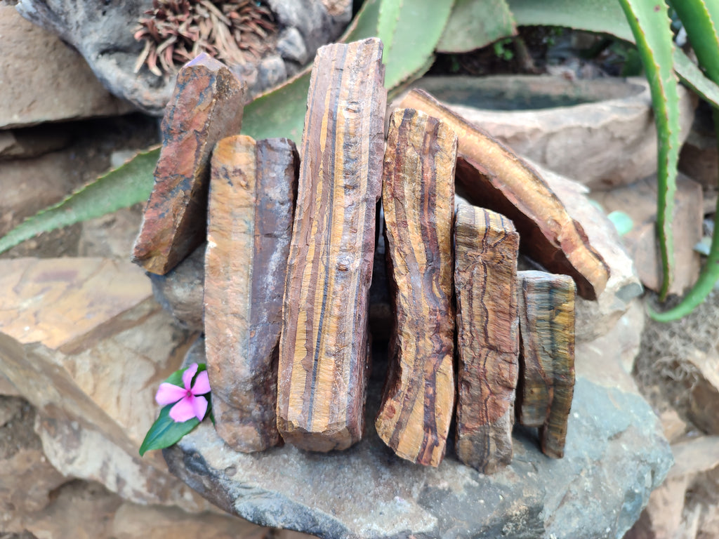 Natural Tiger's Eye Cutting Material x 14 From Prieska, South Africa - Toprock Gemstones and Minerals 