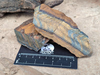 Natural Tiger's Eye Cutting Material x 14 From Prieska, South Africa