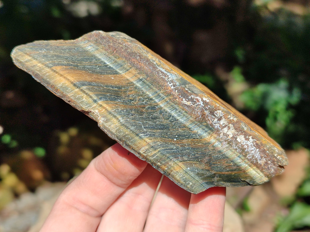 Natural Tiger's Eye Cutting Material x 14 From Prieska, South Africa - Toprock Gemstones and Minerals 
