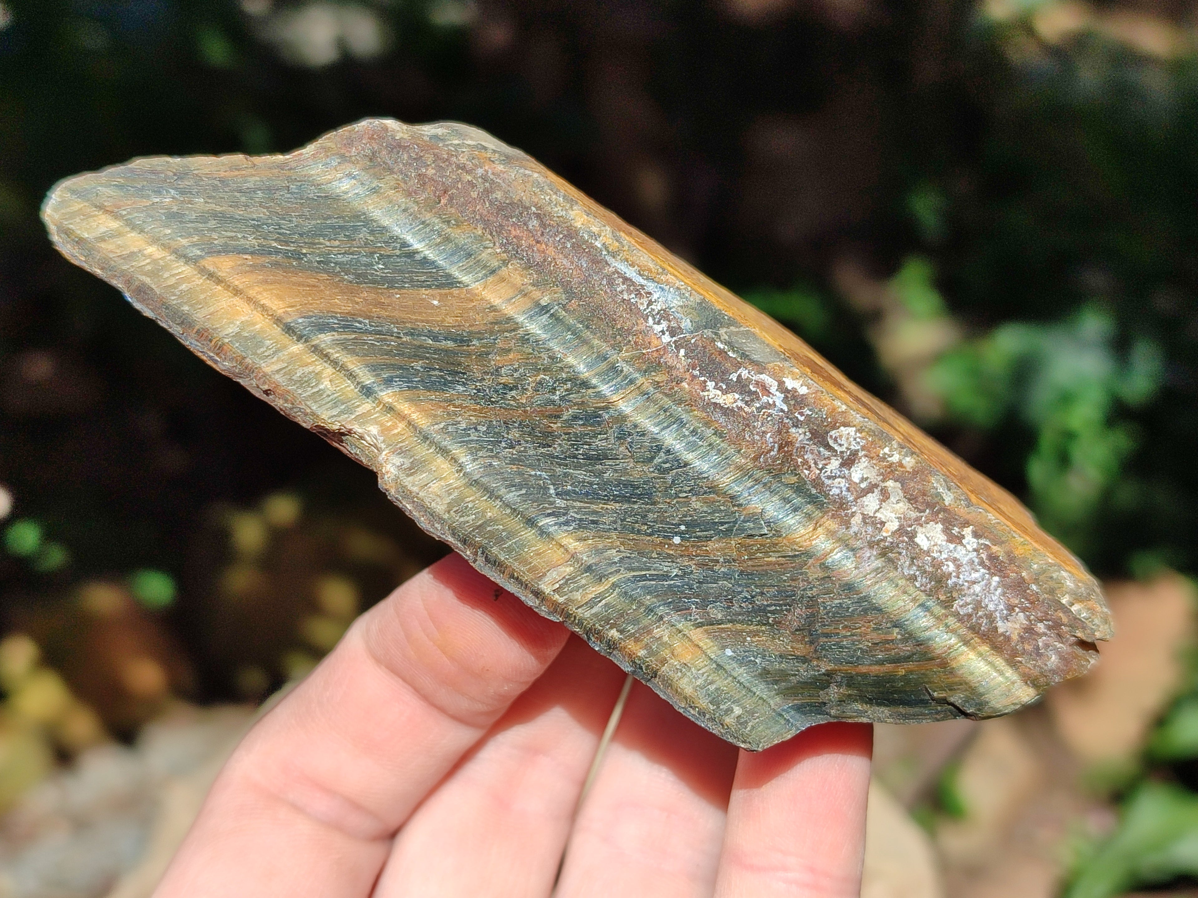 Natural Tiger's Eye Cutting Material x 14 From Prieska, South Africa - Toprock Gemstones and Minerals 
