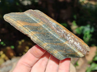 Natural Tiger's Eye Cutting Material x 14 From Prieska, South Africa