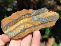 Natural Tiger's Eye Cutting Material x 14 From Prieska, South Africa