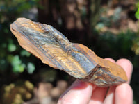 Natural Tiger's Eye Cutting Material x 14 From Prieska, South Africa