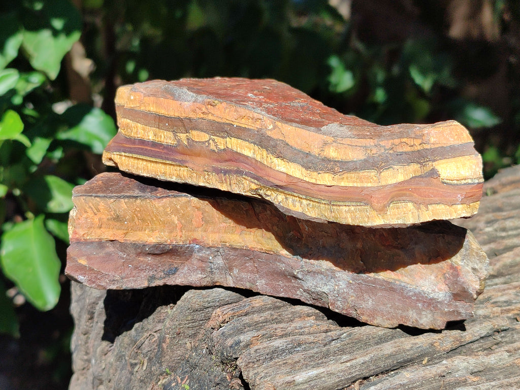Natural Tiger's Eye Cutting Material x 14 From Prieska, South Africa - Toprock Gemstones and Minerals 