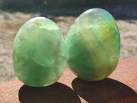 Polished Green Fluorite Standing Free Forms x 3 From Madagascar