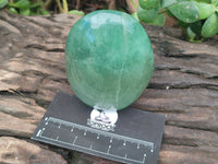 Polished Green Fluorite Standing Free Forms x 3 From Madagascar