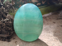 Polished Green Fluorite Standing Free Forms x 3 From Madagascar