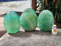 Polished Green Fluorite Standing Free Forms x 3 From Madagascar