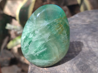 Polished Green Fluorite Standing Free Forms x 3 From Madagascar