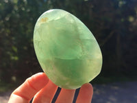 Polished Green Fluorite Standing Free Forms x 3 From Madagascar