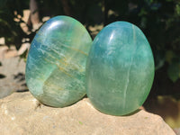 Polished Green Fluorite Standing Free Forms x 3 From Madagascar