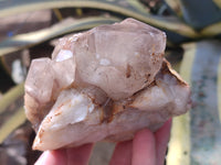 Natural Red Hematoid Quartz Clusters x 3 From Karoi, Zimbabwe