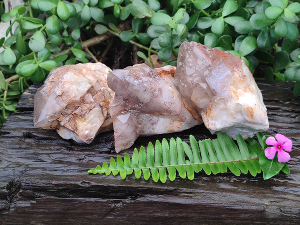 Natural Red Hematoid Quartz Clusters x 3 From Karoi, Zimbabwe
