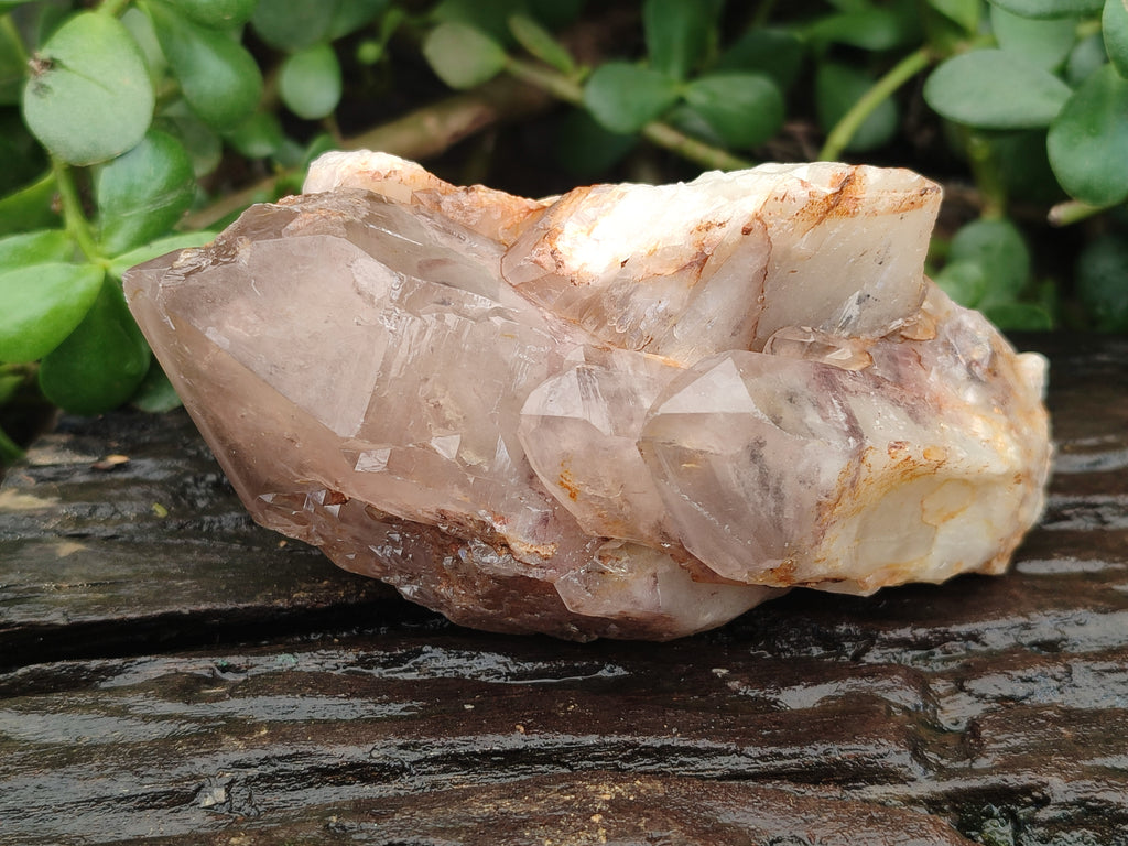 Natural Red Hematoid Quartz Clusters x 3 From Karoi, Zimbabwe - Toprock Gemstones and Minerals 