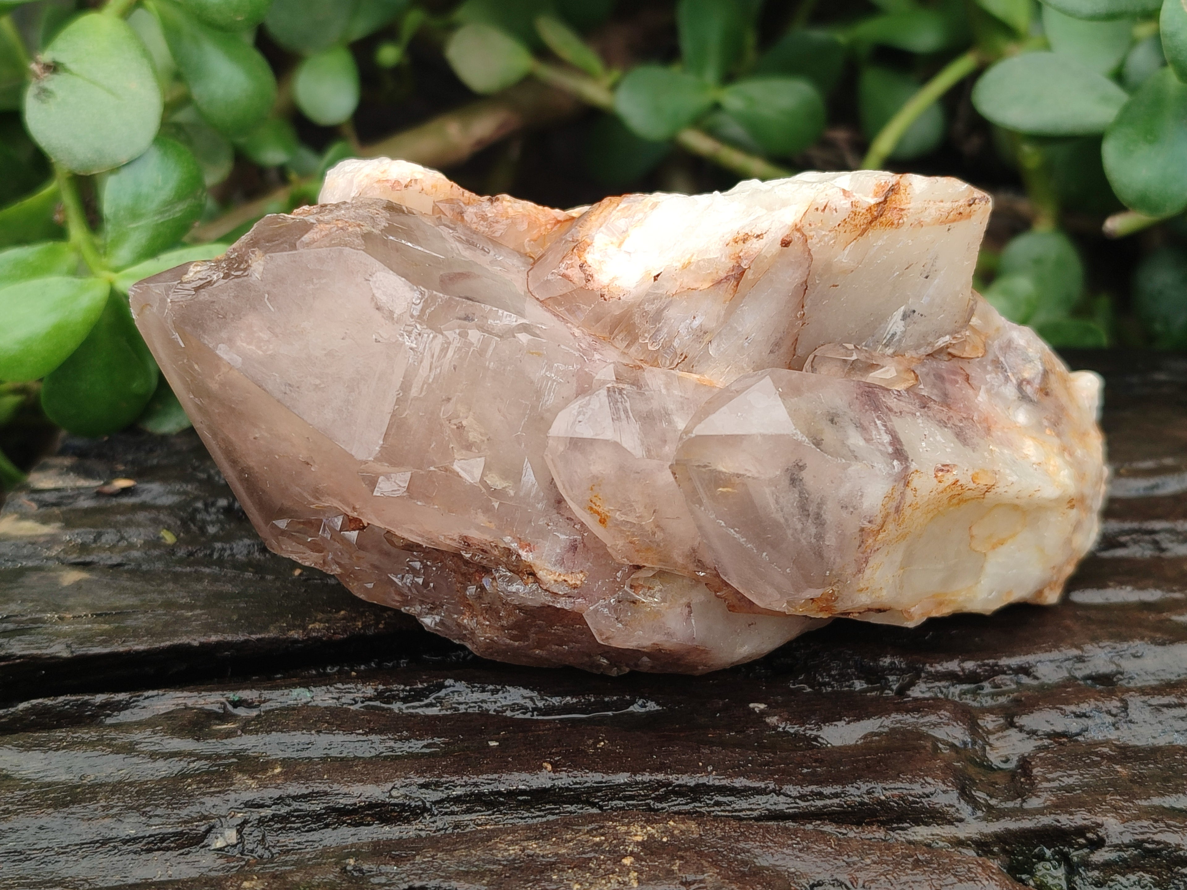 Natural Red Hematoid Quartz Clusters x 3 From Karoi, Zimbabwe - Toprock Gemstones and Minerals 