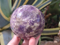 Polished Lepidolite with Pink Rubellite and Blue Lithium Spheres x 2 From Ambatondrazaka, Madagascar