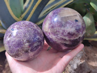 Polished Lepidolite with Pink Rubellite and Blue Lithium Spheres x 2 From Ambatondrazaka, Madagascar