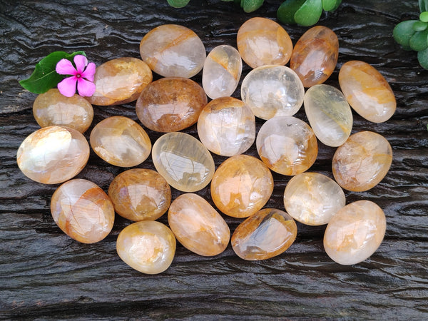 Polished Golden Healer Galet-Palm Stones x 35 From Madagascar
