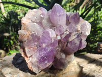 Natural Jacaranda Amethyst Quartz Cluster x 1 From Mumbwa, Zambia