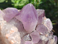 Natural Jacaranda Amethyst Quartz Cluster x 1 From Mumbwa, Zambia