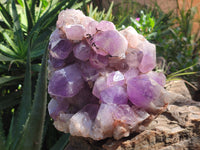 Natural Jacaranda Amethyst Quartz Cluster x 1 From Mumbwa, Zambia