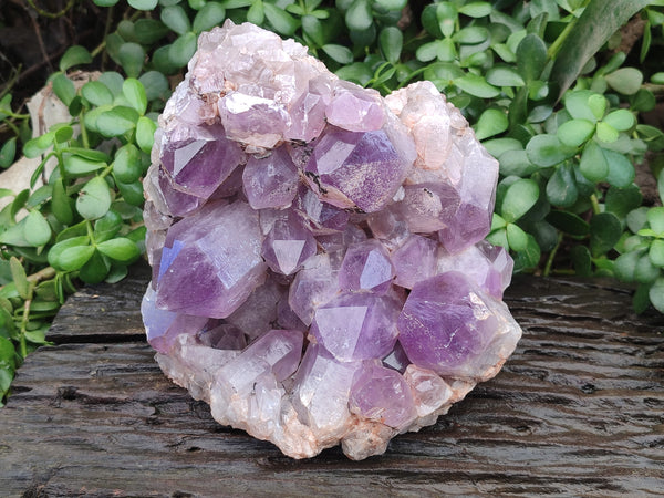 Natural Jacaranda Amethyst Quartz Cluster x 1 From Mumbwa, Zambia