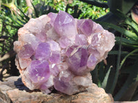 Natural Jacaranda Amethyst Quartz Cluster x 1 From Mumbwa, Zambia