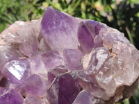 Natural Jacaranda Amethyst Quartz Cluster x 1 From Mumbwa, Zambia