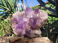 Natural Jacaranda Amethyst Quartz Cluster x 1 From Mumbwa, Zambia