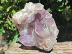 Natural Jacaranda Amethyst Quartz Clusters x 2 From Mumbwa, Zambia - Toprock Gemstones and Minerals 