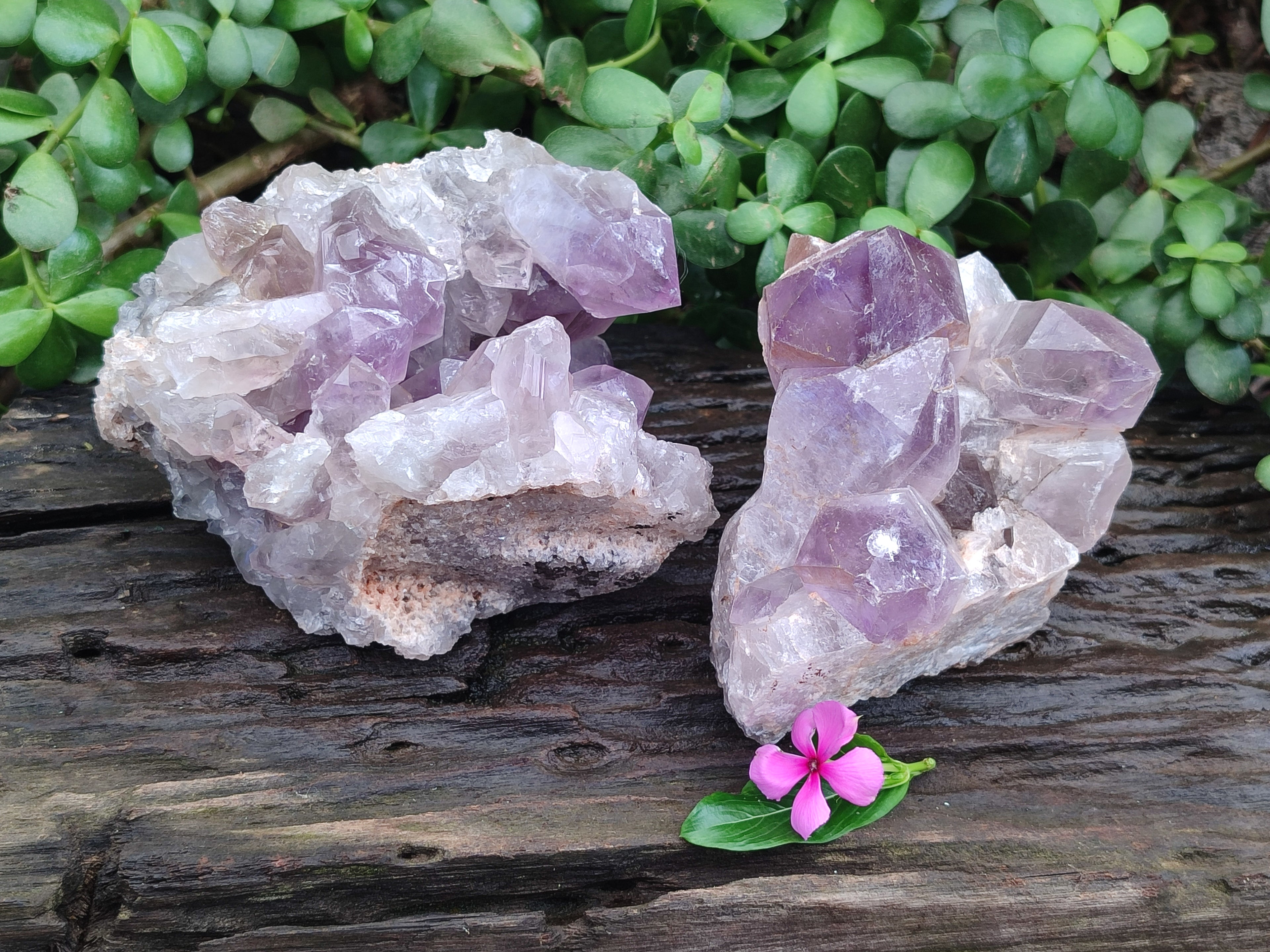 Natural Jacaranda Amethyst Quartz Clusters x 2 From Mumbwa, Zambia - Toprock Gemstones and Minerals 