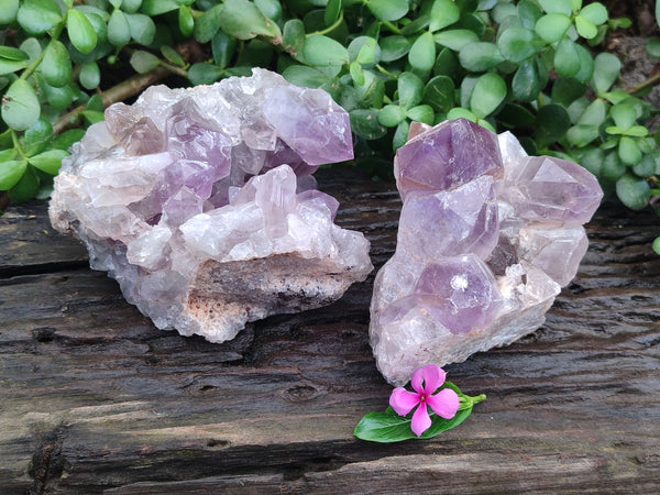 Natural Jacaranda Amethyst Quartz Clusters x 2 From Mumbwa, Zambia