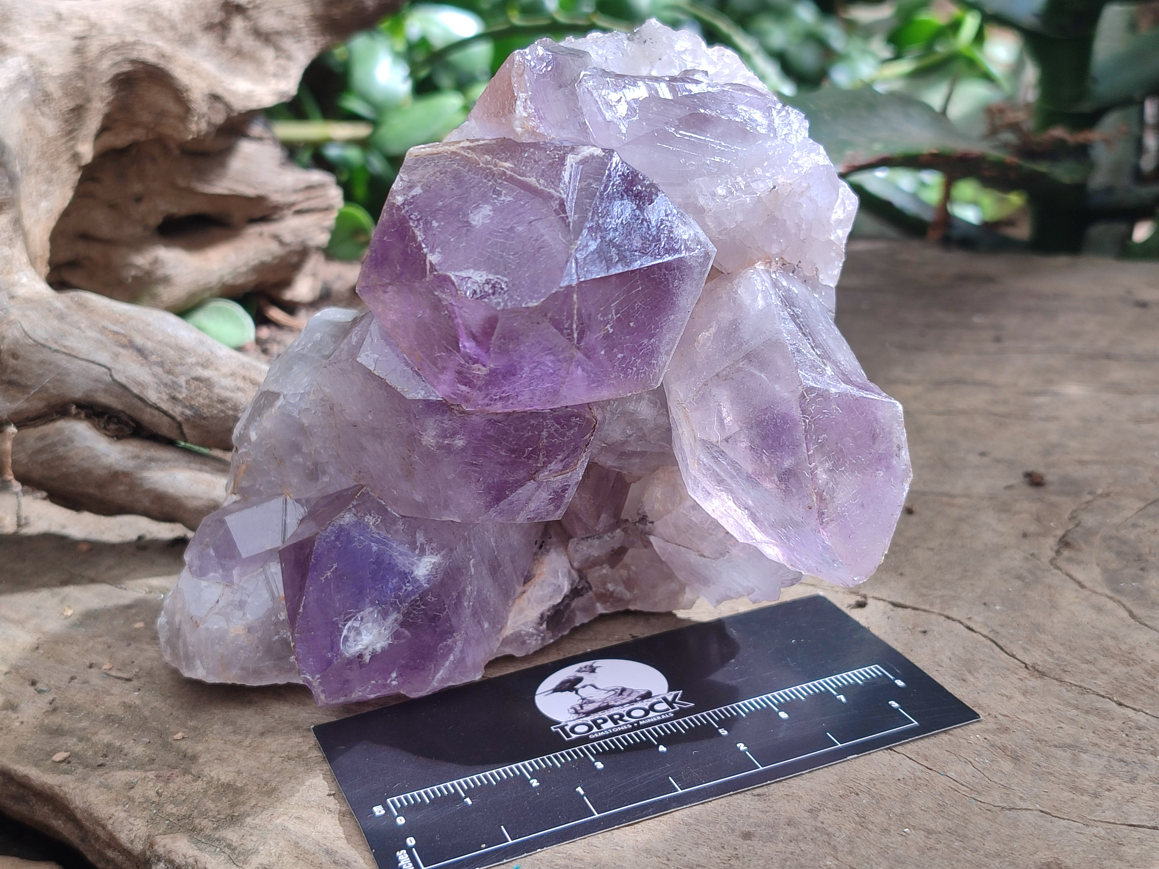 Natural Jacaranda Amethyst Quartz Clusters x 2 From Mumbwa, Zambia - Toprock Gemstones and Minerals 