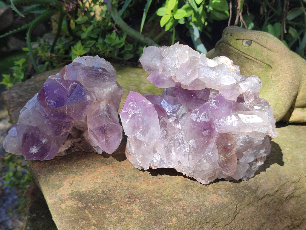 Natural Jacaranda Amethyst Quartz Clusters x 2 From Mumbwa, Zambia - Toprock Gemstones and Minerals 