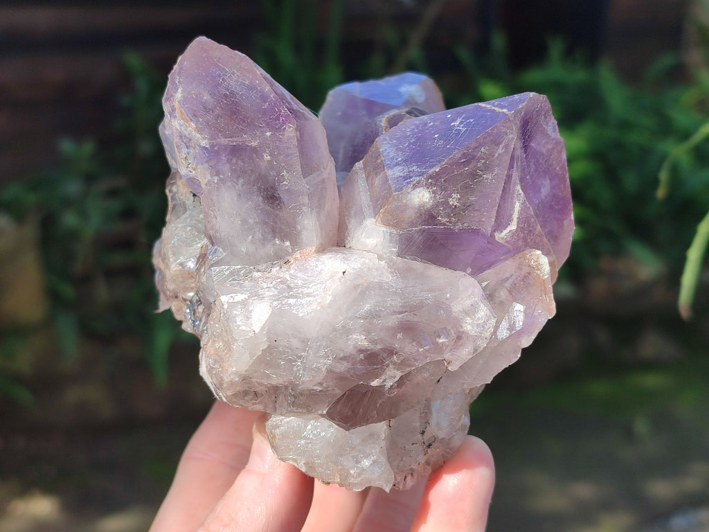 Natural Jacaranda Amethyst Quartz Clusters x 2 From Mumbwa, Zambia - Toprock Gemstones and Minerals 