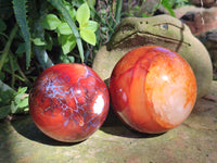 Polished Carnelian Agate Spheres x 3 From Madagascar