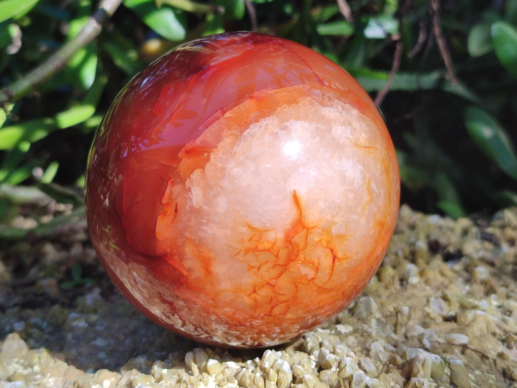 Polished Carnelian Agate Spheres x 3 From Madagascar - Toprock Gemstones and Minerals 