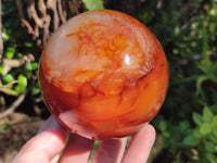 Polished Carnelian Agate Spheres x 3 From Madagascar