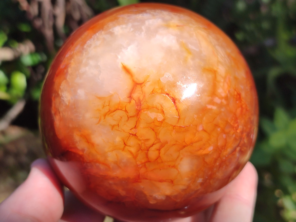 Polished Carnelian Agate Spheres x 3 From Madagascar - Toprock Gemstones and Minerals 